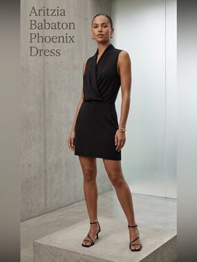 Babaton Phoenix Black Dress Size 4